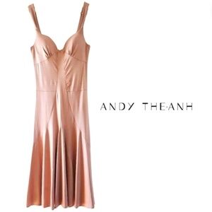 Andy The Anh Dusty Pink Midi Dress Size 2